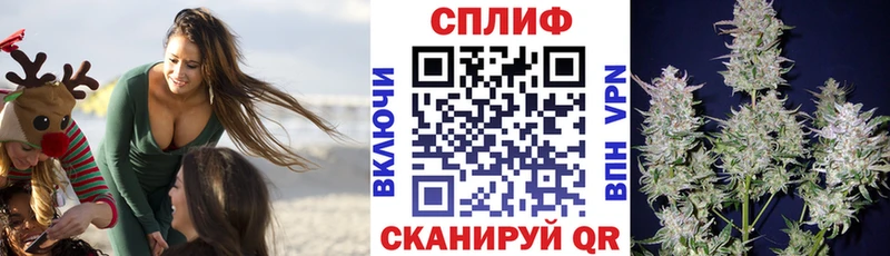 Купить закладку Мурманск Галлюциногенные грибы  Мефедрон  ГАШИШ  APVP 