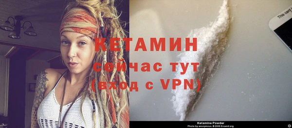 дживик Сясьстрой