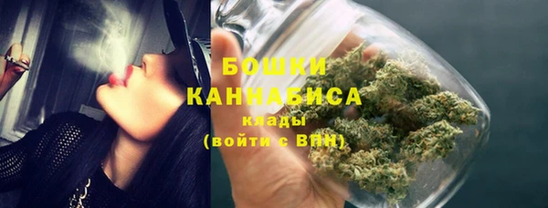 дурь Покачи