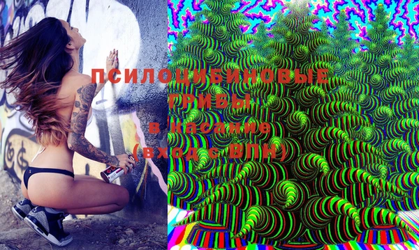 дурь Покачи