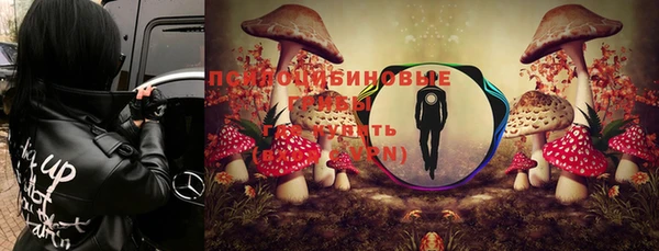 ALPHA PVP Протвино