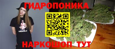 ALPHA PVP Кингисепп