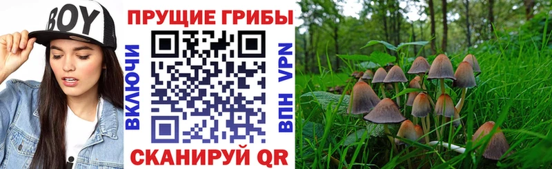 Псилоцибиновые грибы мухоморы  купить закладку  Мурманск 