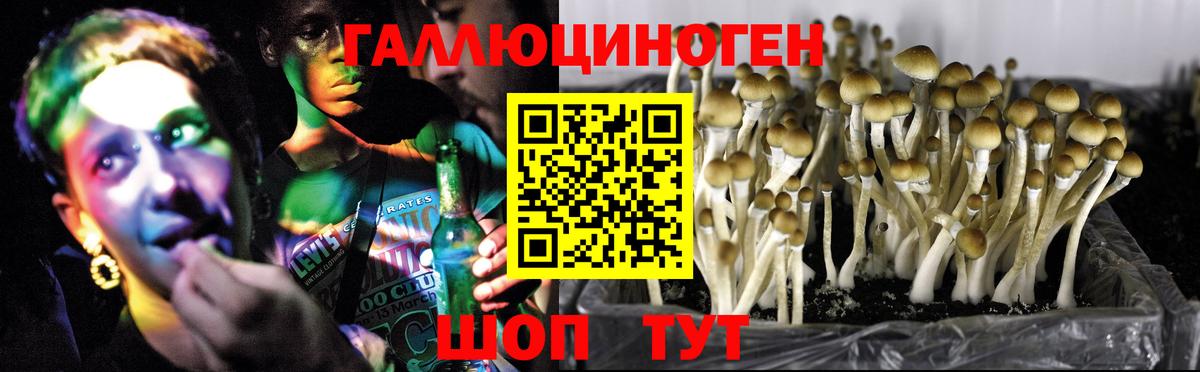 ГАШИШ  APVP СК кристаллы  Меф МЯУ МЯУ кристаллы  Бошки Шишки  Мурманск  Вход с VPN  МЕФ 